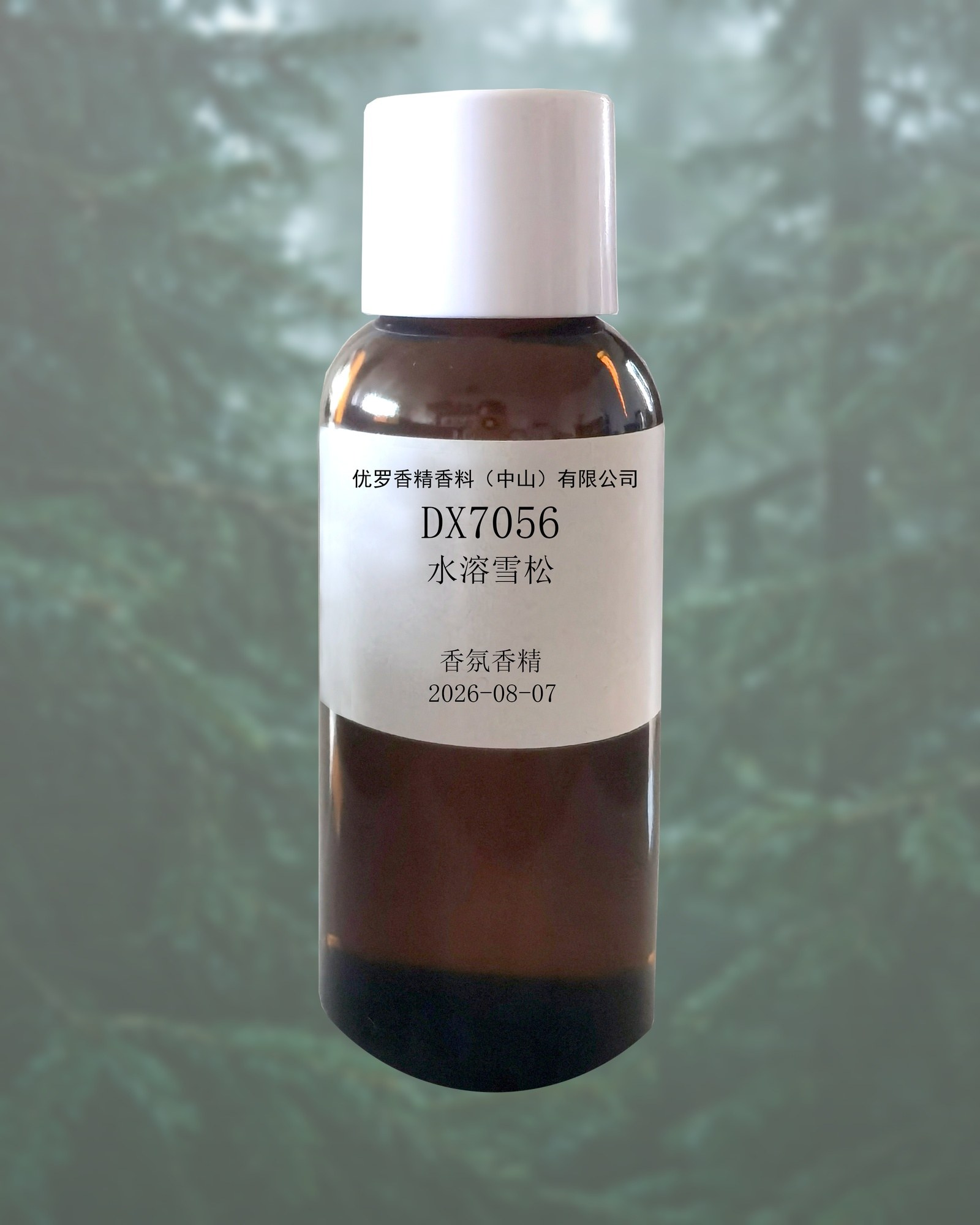 水溶雪松