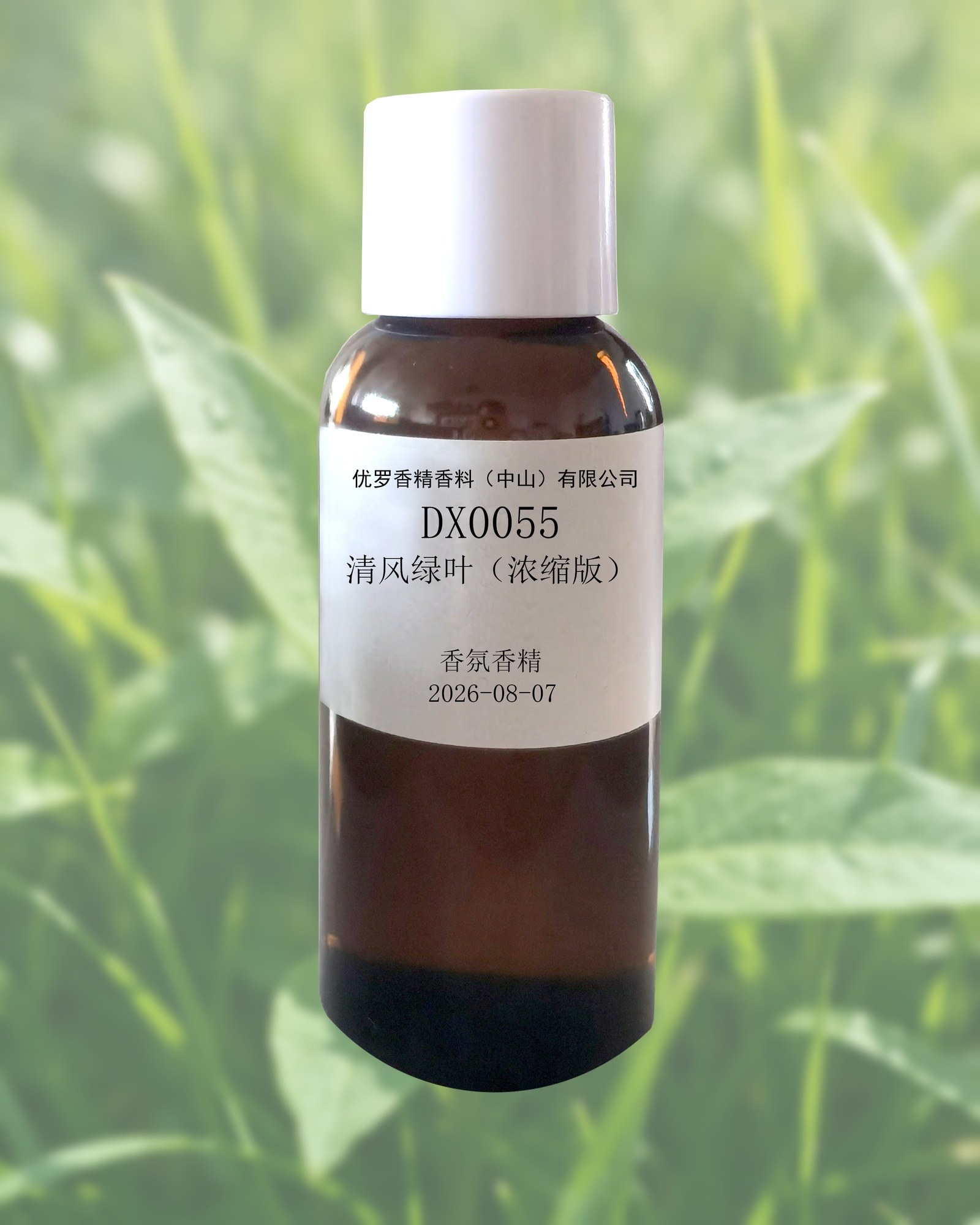 清风绿叶
